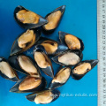 shell off mussel meat frozen boiled mussel meat